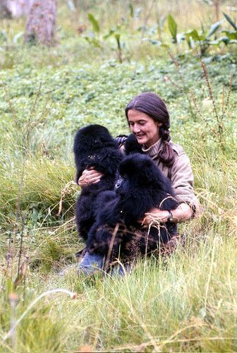 DIANE FOSSEY