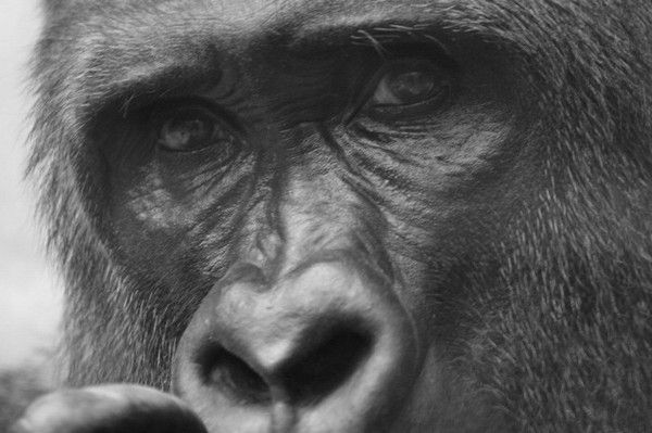 TOUT DANS LE REGARD